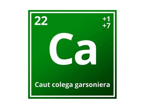 Caut colega
