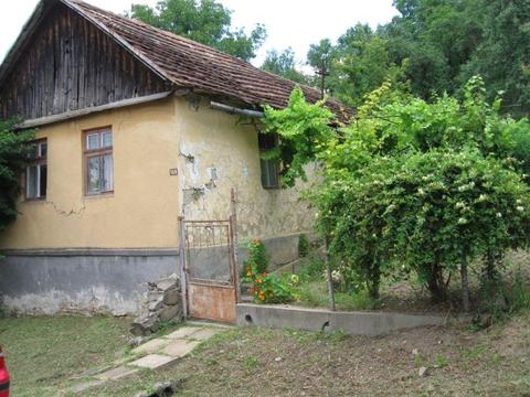 Vand casa cu gradina la tara