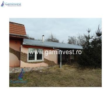 De vanzare casa de vacanta si teren in Podgoria,  V1856