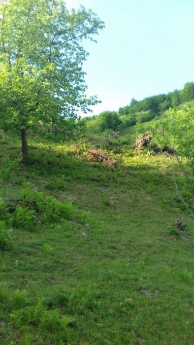 Vand casa si teren 12 hectare 1padure
