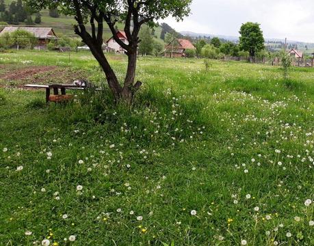 Vand teren intravilan, Moglăneşti - Topliţa, jud.