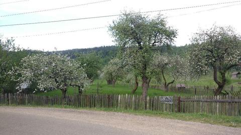 Vand teren 6000mp în localitatea , județul