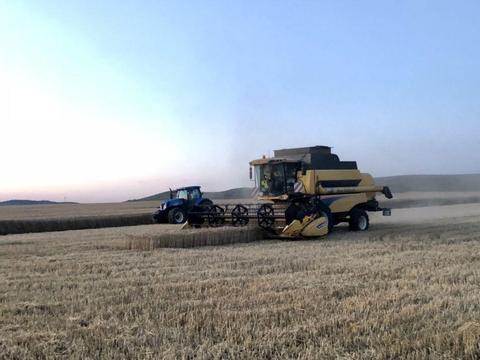 Preiau in arenda teren extravilan agricol