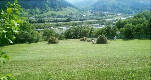 Teren intravilan 3.084 mp - Tasca, jud. Neamt