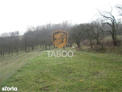 Teren intavilan 4100 mp de vanzare in  zona Industriala