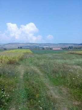 Teren de vanzare