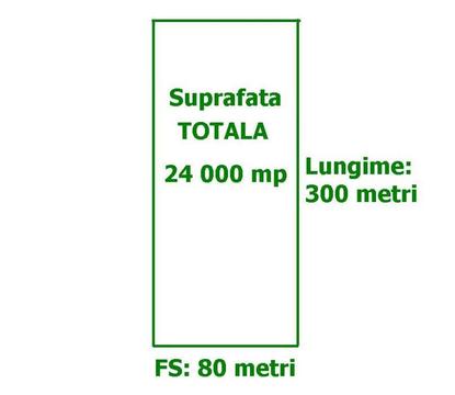 Teren intravilan 2,4 hectare cu 8 Euro/mp in (com. Sanmartin)