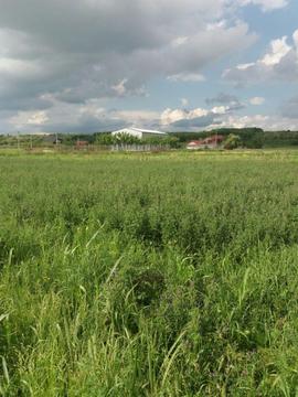 Vând loc de casă