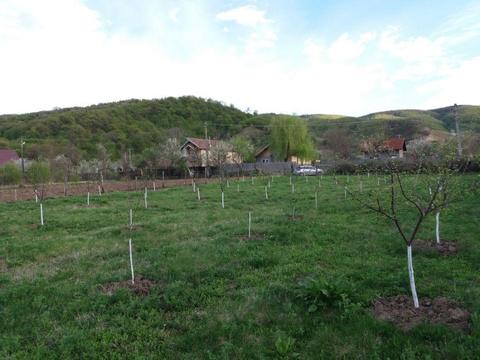 Vand teren casa Ojasca