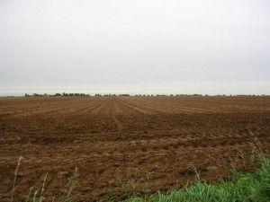 Teren agricol