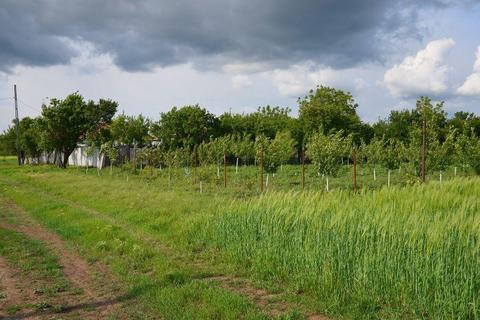 Vand gospodarie casa, livada si stupina zona Rosiori de Vede