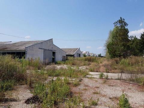 Ferma de berbeci + teren intravilan, 68.000 mp