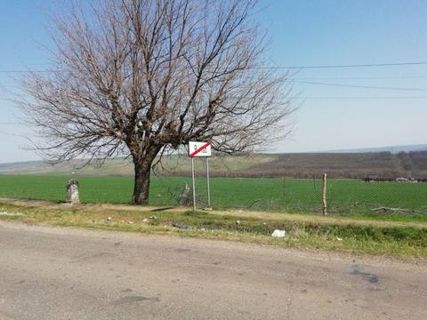 Teren , zona bariera Puiesti