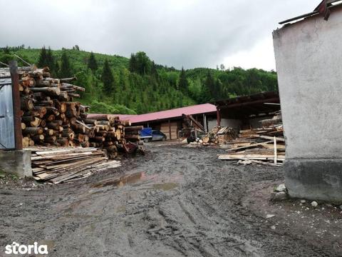 Teren intravilan 8,150mp - Valea Mare, Bistrita Nasaud