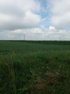 Teren suprafata mare la strada intravilan