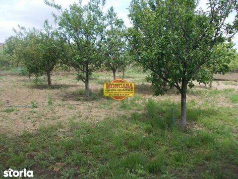 2192 mp, teren, loc drept, , zona Puskin-sc. 1
