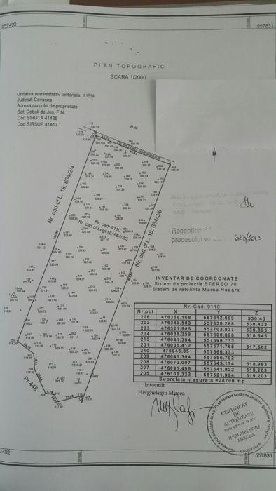 Vand 2,83 ha in Doboli de Jos, pe Ulita Romaneasca, la 800m de asfalt