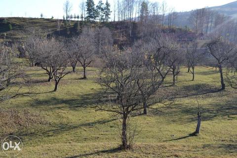 Teren intravilan la munte