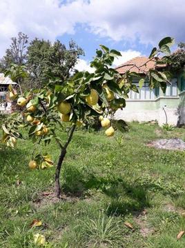 Casa si teren la 119 de Bucuresti