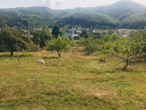 Inchiriez Teren.Baita-Tautii Magheraus. . Teren Intravilan