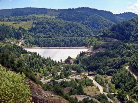 Teren(padure) pe malul lacului Runcu (Pleșca)