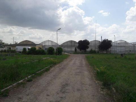Teren intravilan cu sere, 10 304 mp