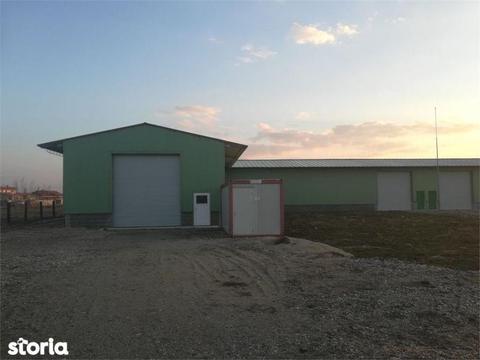 Investitori! Hala 1000 mp cu 2.5 ha teren