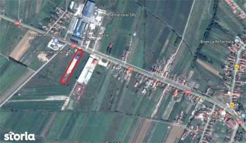Service camioane cu 2 Hale Dorolt