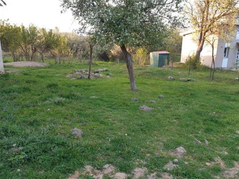 Teren in chiriat