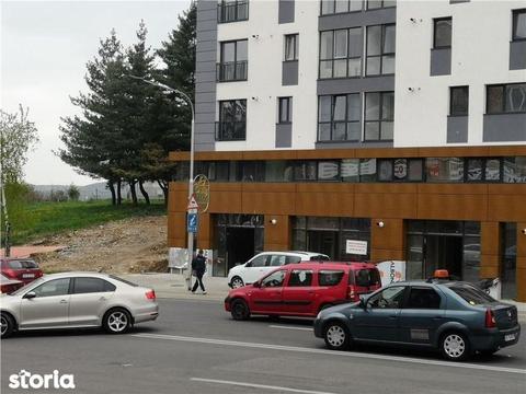 Spatiu Comercial Calea Craiovei, 100 mp