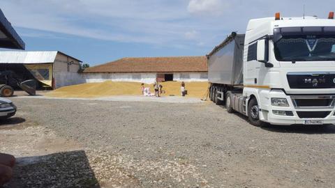 Vand ferma in sat