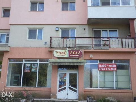 Spatiu Comercial  Str. Stefan Cel Mare, 77 mp, Nord- Est