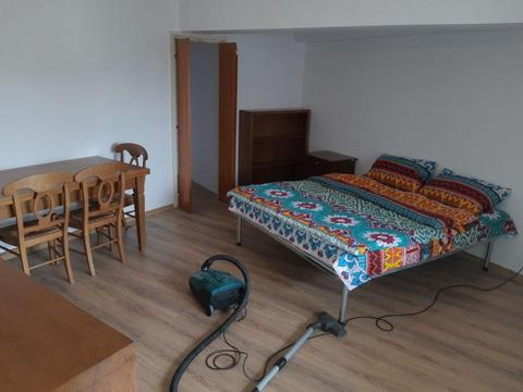 Apartament cu o camera centru pietonal