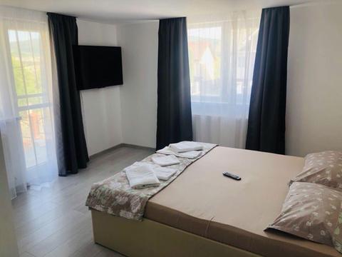 Inchiriere Apartament ultracentral 250euro plus 100 cheltuieli