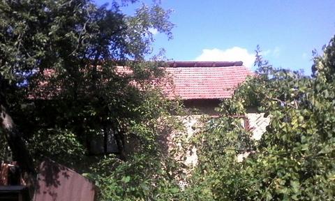 Imobiliare