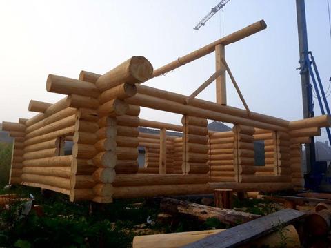 Cabana/casa lemn rotund