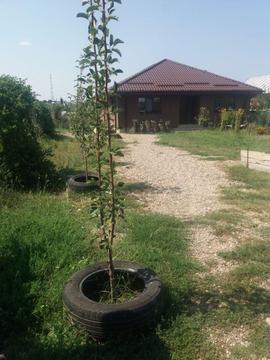 Casa cu 5000 mp teren intravilan - , str. Agricultorului