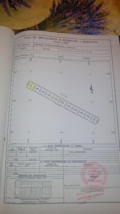 Loturi de 550m langa padure la