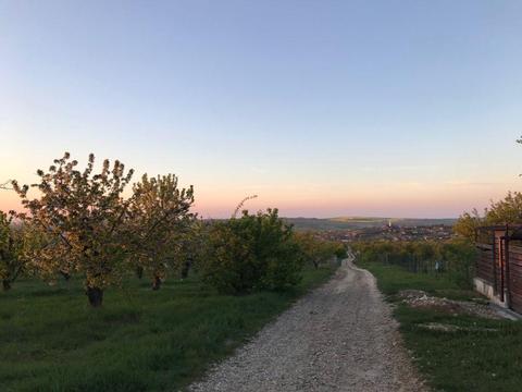 Vand teren Intravilan  - Zona deosebita - Loc de casa