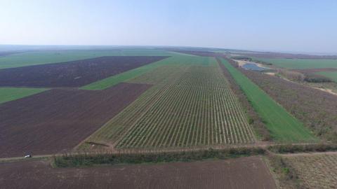 Se vinde Gradina de vii, Gradina de mere,prune, teren agricol In repub