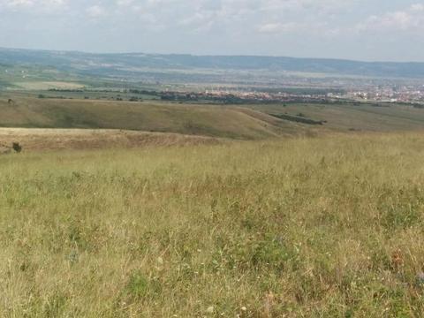 Teren pt.exploatatie agricola (livada de pomi,cabane),stupi