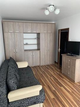 Apartament cu o cameră ultrautilat Vânătorul și Pescarul