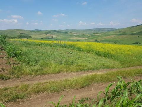 Vand teren agricol Cojocna