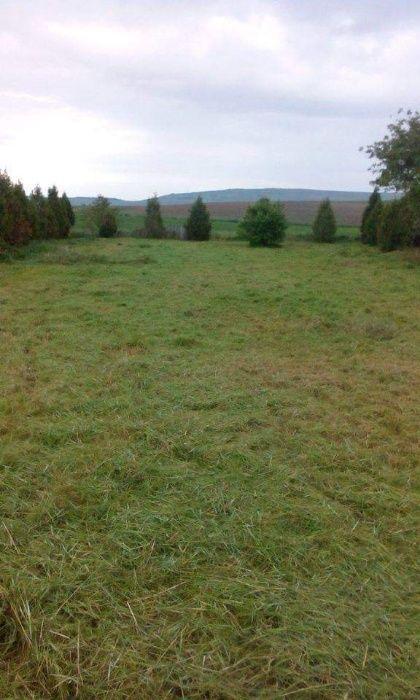 Teren intravilan, sat Limba, com