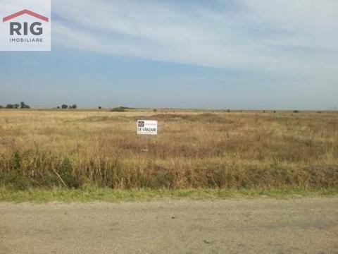 Teren intravilan 7.800 mp in localitatea Livada