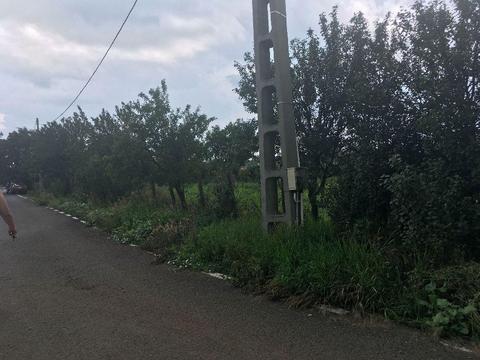 Ofer spre vânzare teren ( loc de casa ) 1000 mp