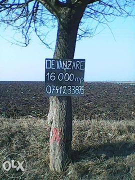 Teren 16.000 mp la Tg. Frumos