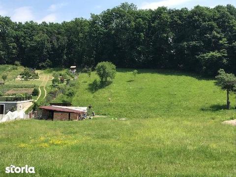 Teren intravila zona Popasul Romanilor-Stana 17500eur neg