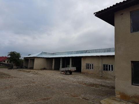 Hală/Case