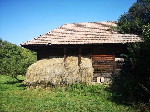 Casa si teren de vanzare